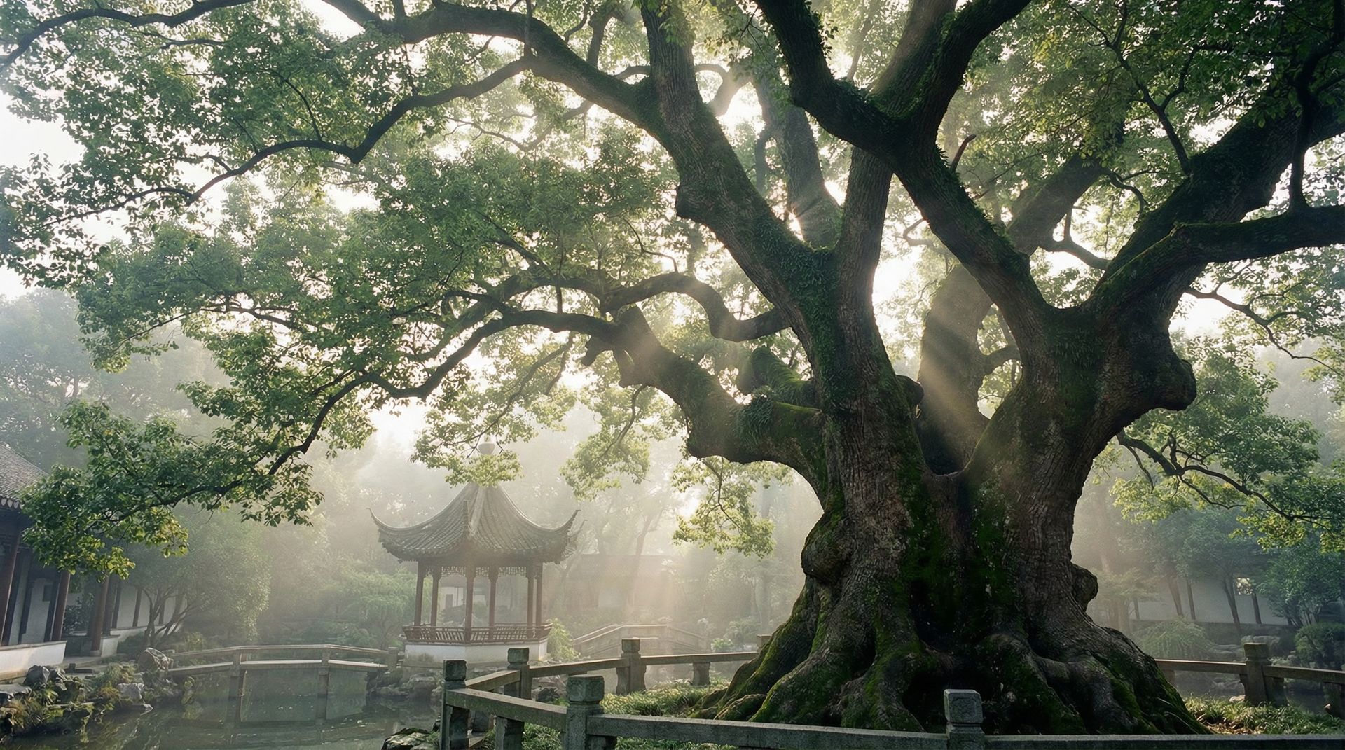 麻豆传媒樟树视频